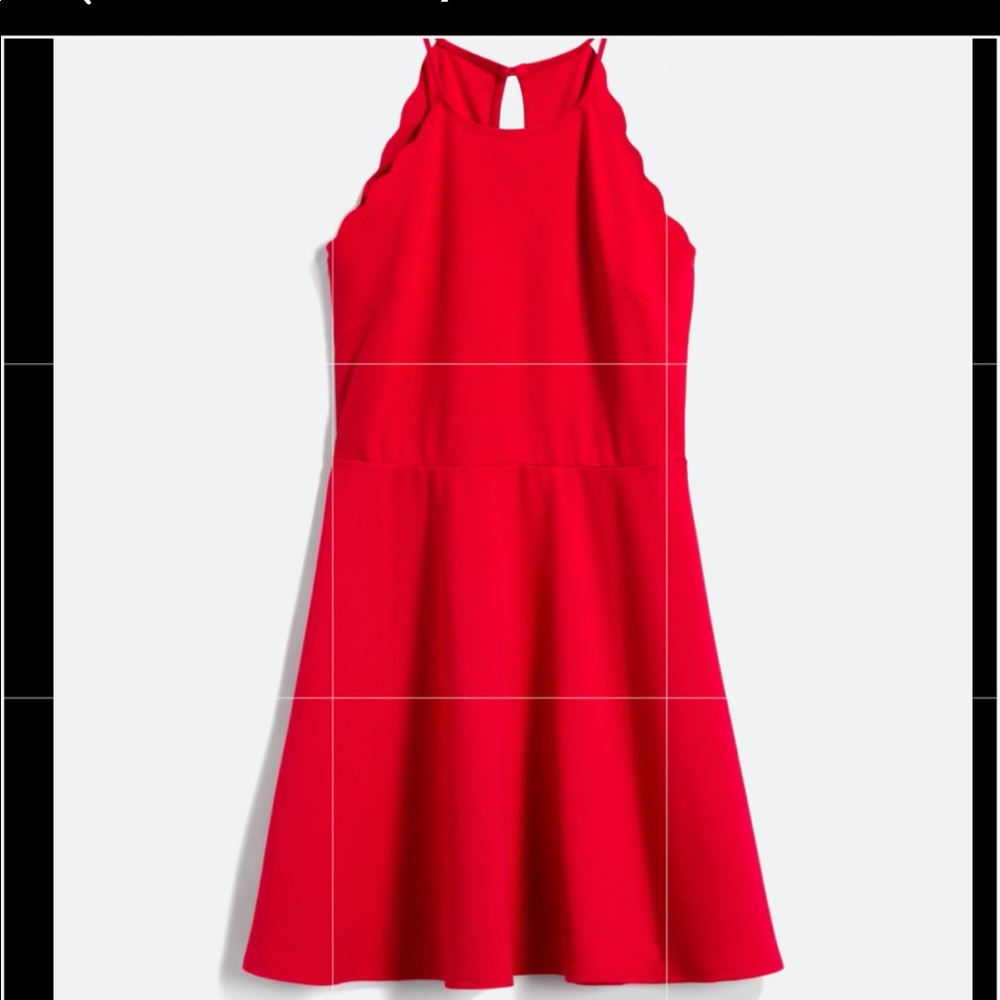 Scallop Detail Knit Dress